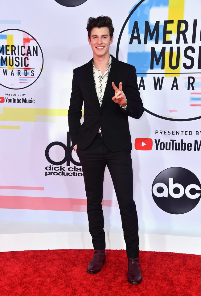  Shawn Mendes looked dapper on the red carpet