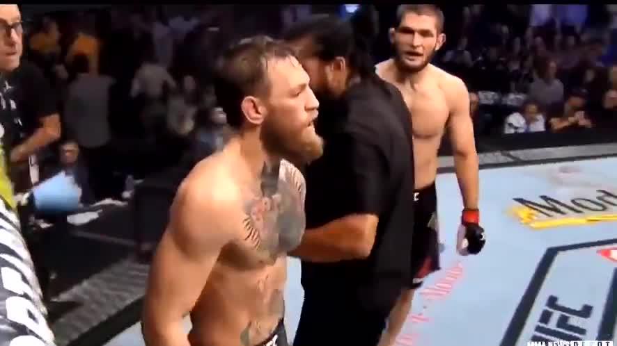 Khabib Nurmagomedov returned to his corner as the fight was very much going in his favour