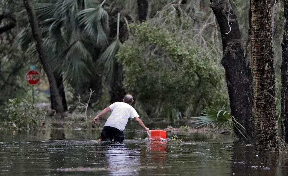  The mosquitoes hatch in the flood waters left behind by hurricanes