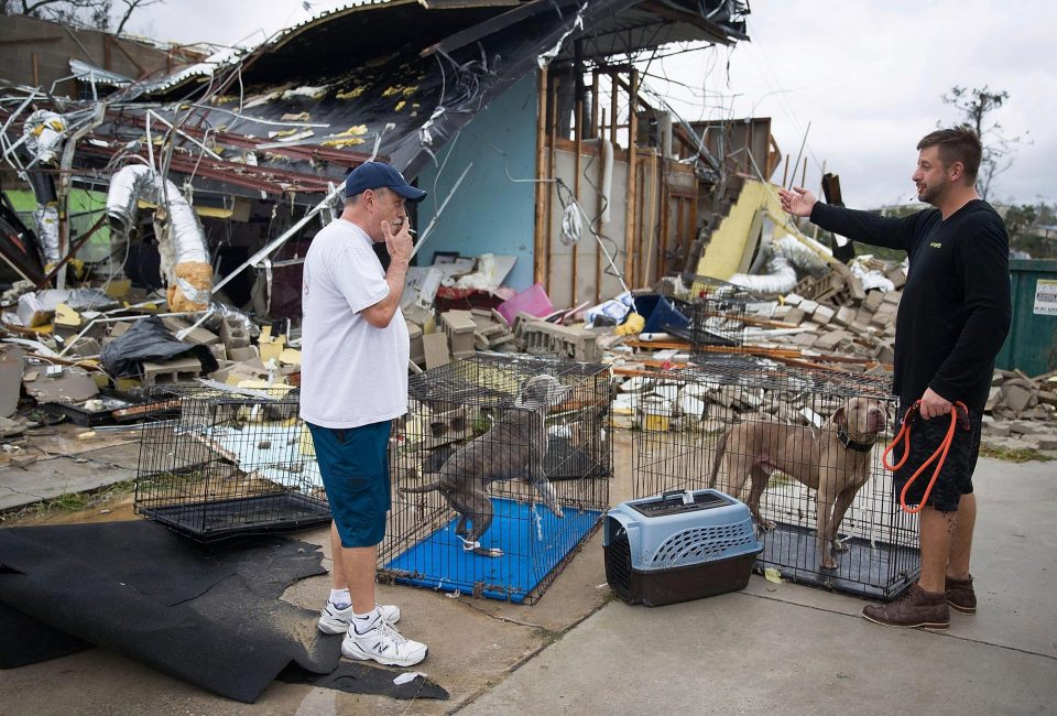  Rick Teska (L) helps a business owner rescue his dogs from his store