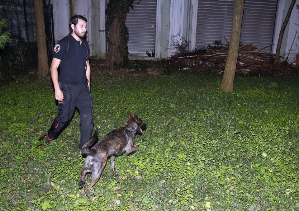  Istanbul Police Department's cadaver dog Melo inspects garden of the Consul General of Saudi Arabia