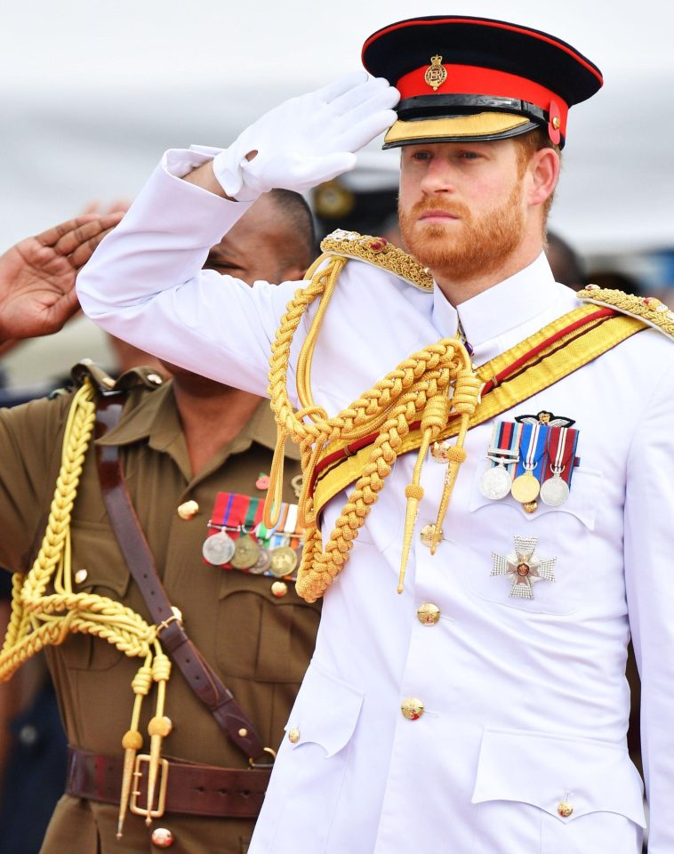  More than 1250 Fijians currently serving in the British Army and Harry paid tribute to their bravery