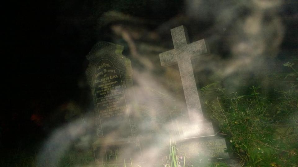  The ghost hunters said their 'electric energy metres' were going off during the graveyard exploration