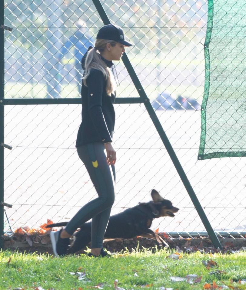  Vogue and Winston looked for tennis balls while Spencer gave Theodore his undivided attention