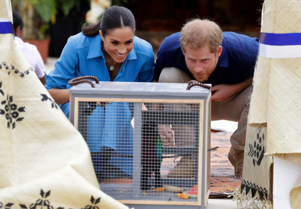 The couple look at a parrot during a visit to dedicate a forest reserve to the Queen’s Commonwealth Canopy