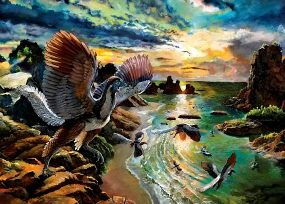 Archaeopteryx albersdoerferi is called the 'missing link' between dinosaurs and birds