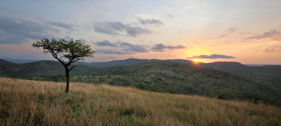  Thanda game reverse is located in the north of Kwazulu-Natal province in South Africa