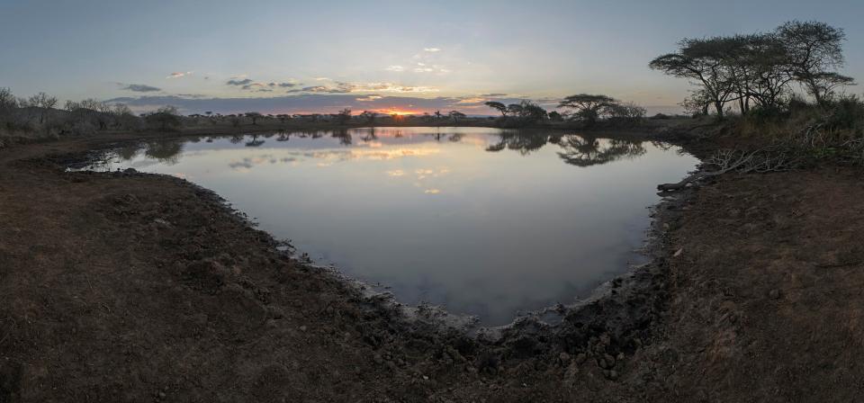  The Royal Zulu lands have been incorporated into the Thanda game reserve under a lease