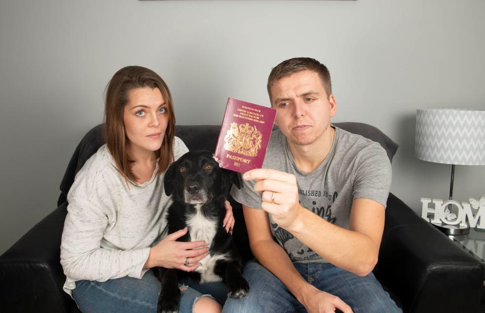  Mil the labrador collie cross was responsible for the honeymoon from hell