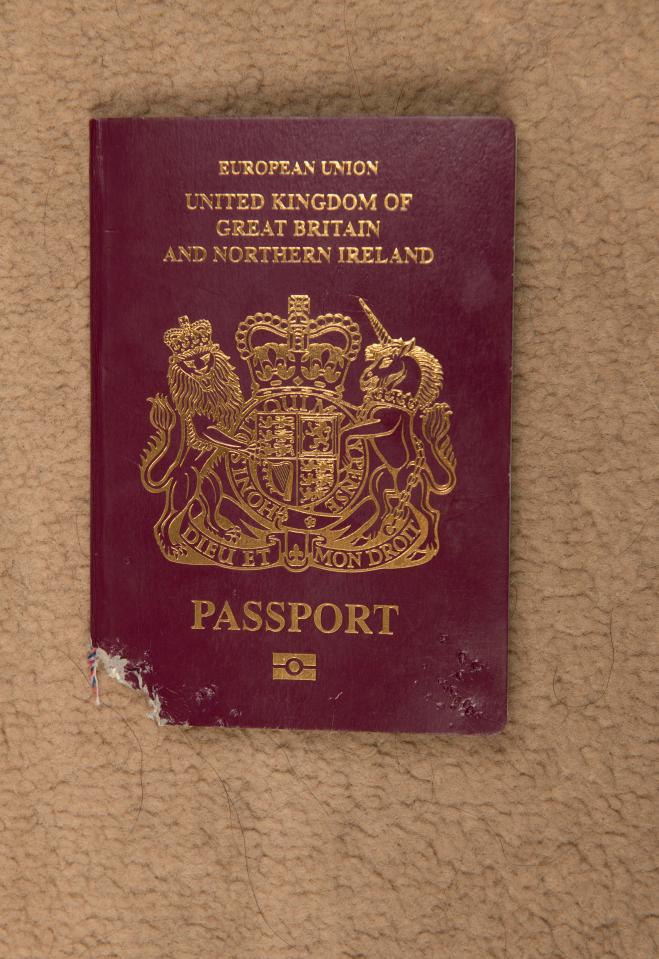  The pup hads chewed away the binding bottom corner of the passport