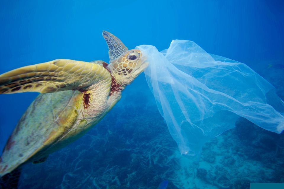 Philip Hammond said the “UK must become a world leader in tackling the scourge of plastic littering our ocean”