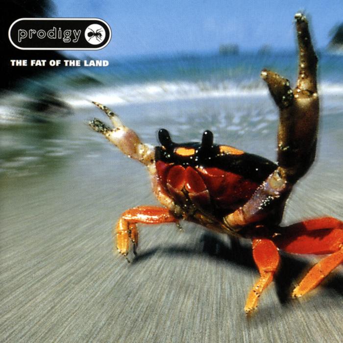  The Fat of the Land was one of the albums that musically defined the 1990s