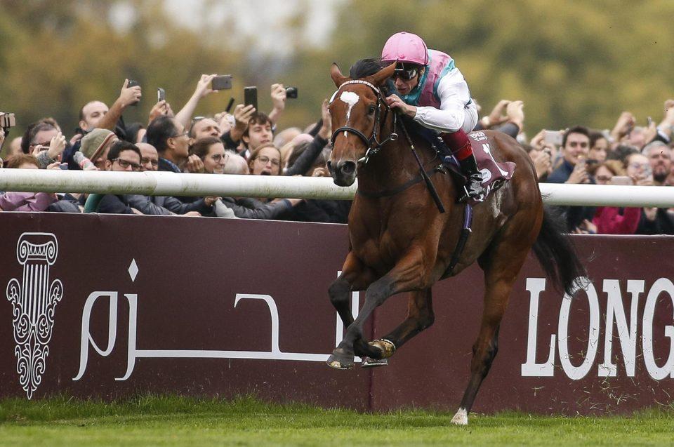  Enable will race on in 2019