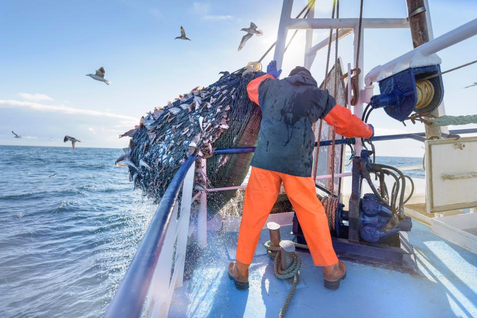  EU countries demand access to fishing UK waters to prevent a hard border plan for Ireland