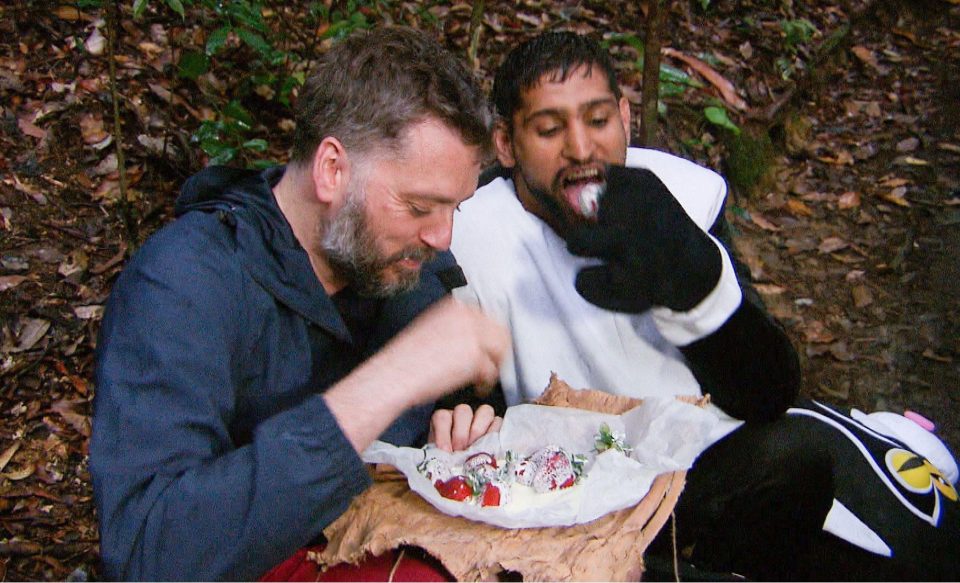  Strawberry Gate took I'm A Celebrity by a storm in 2017