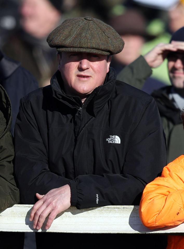  Mr Cameron has been seen enjoying himself at festivals and races since quitting No10