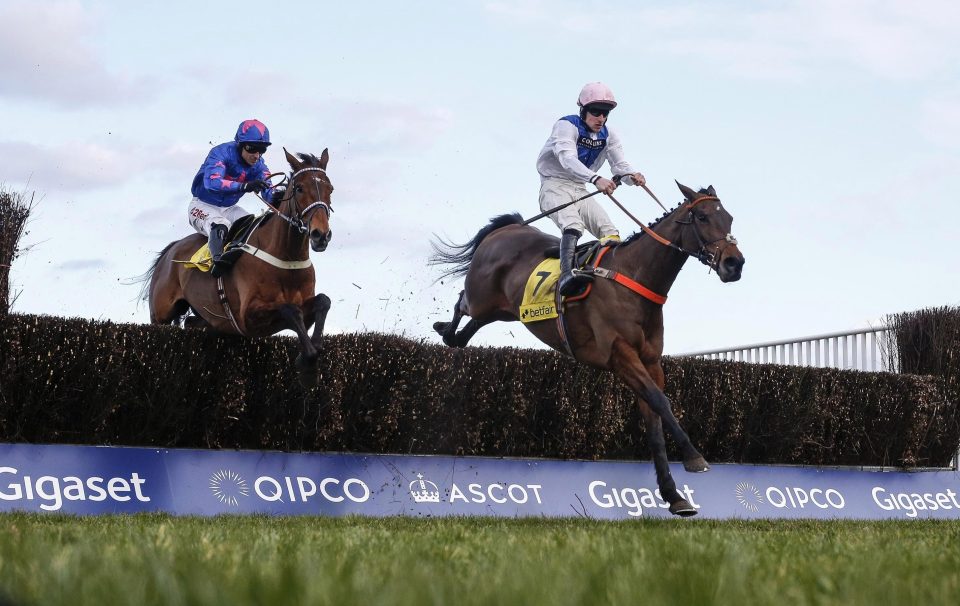  Waiting Patiently jumps the last clear of Cue Card in the Ascot Chase earlier this year