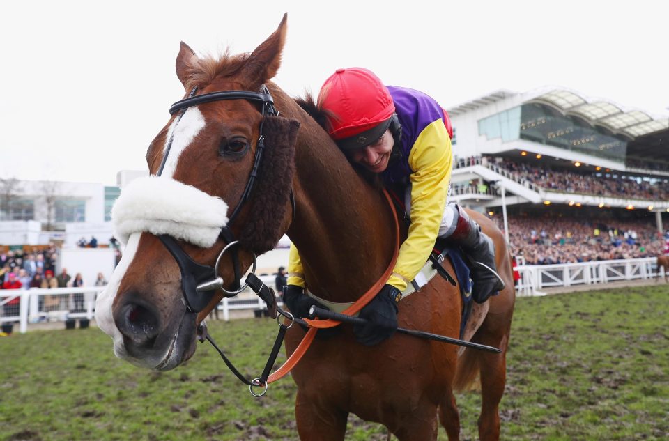  Native River gave Johnson his second Cheltenham Gold Cup