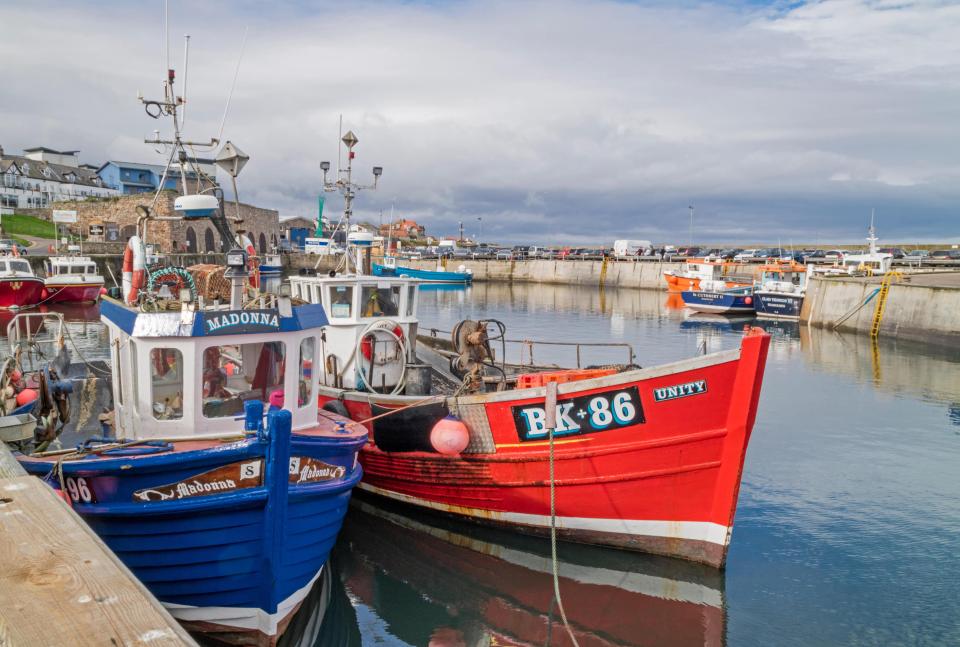  Both sides, UK and EU, would work to establish a new fisheries agreement using 'their best endeavours' to conclude it by July 2020