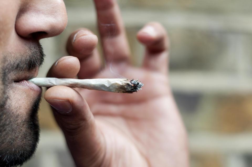 Smoking a joint could be the clue behind curing Alzheimer's disease