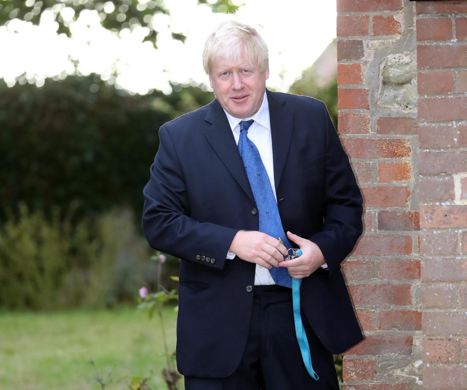  Boris Johnson has hit out at the Prime Minister's Brexit plans