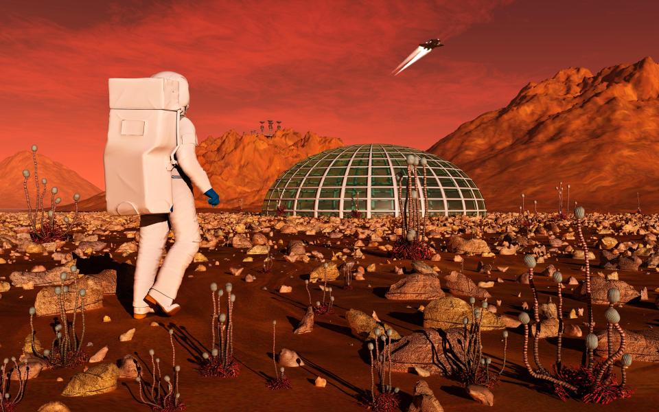  Musk hopes to set up a human colony on the red planet