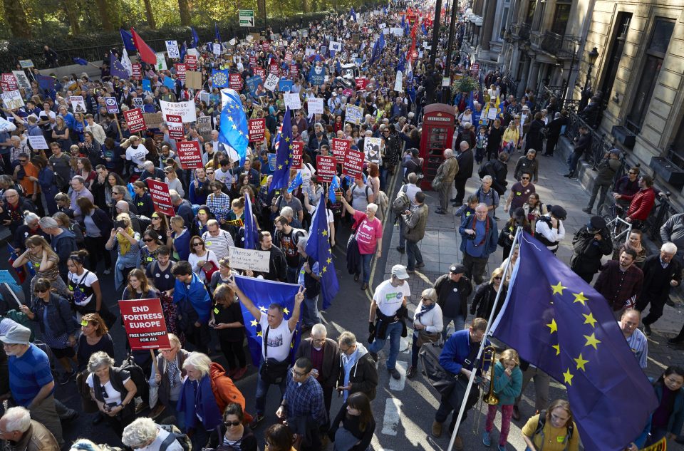  The calls for a second referendum were strengthened by hundreds of thousands of anti-Brexit protesters marching on Parliament