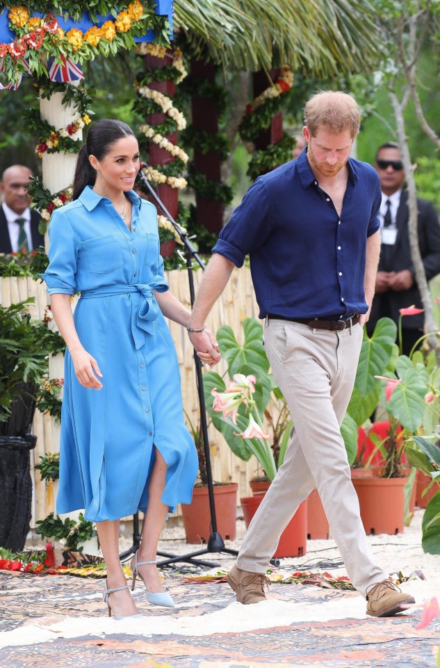  Meghan and Harry frequently hold hands in public