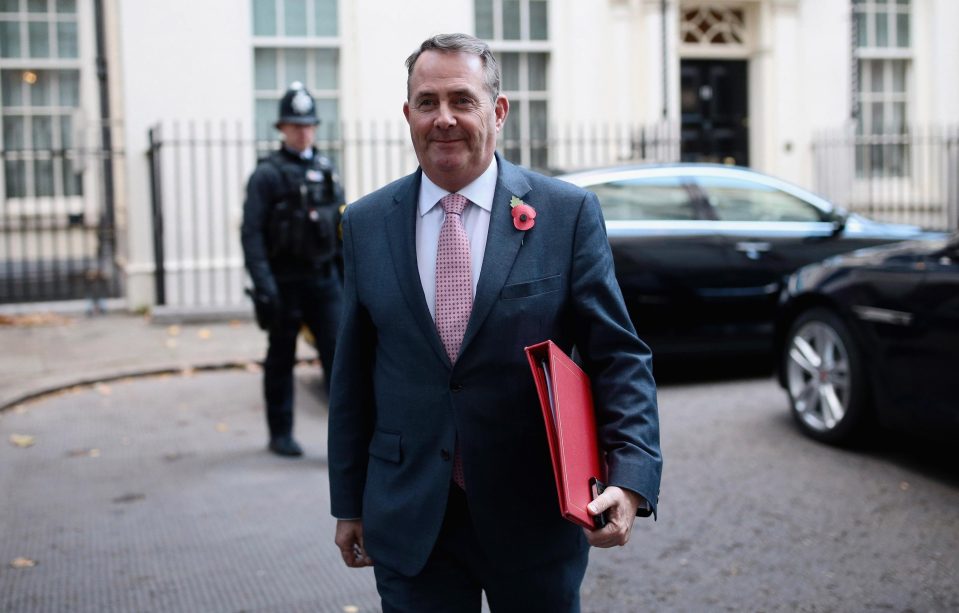  Liam Fox told Sky News 'The Government is planning for no deal as we have for some time'