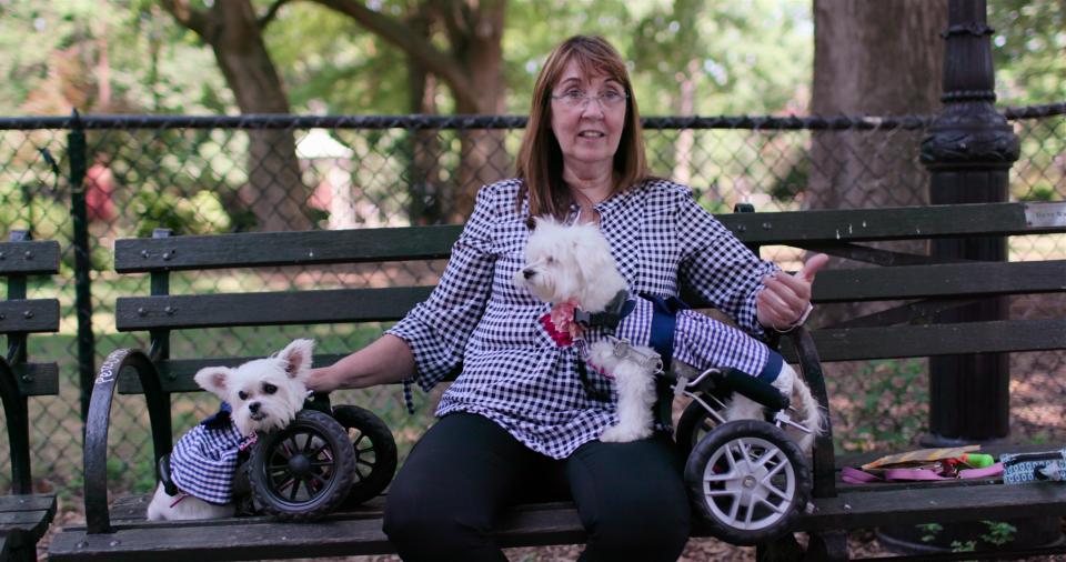  Hearts And Bones charity collect dogs from a shelter in Texas, and find loving foster carers in the Big Apple