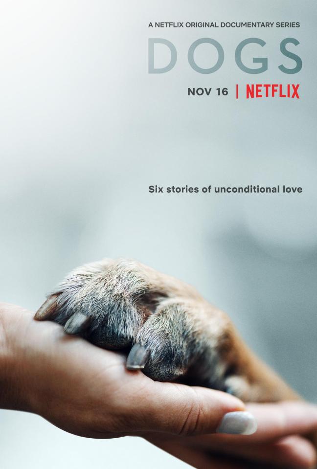  New documentary Dogs will charm animal lovers on Netflix