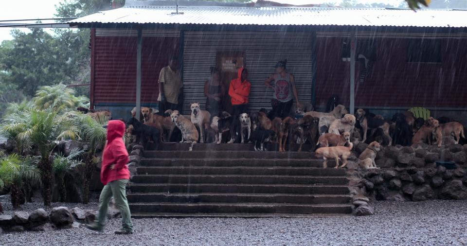  Territorio de Zaguates, or Land of the Strays, is one of the world’s largest shelters for dogs