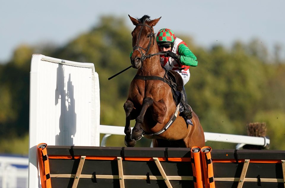  New Quay was the bright on the card for team Skelton on a day they tragically lost Shantou Rock