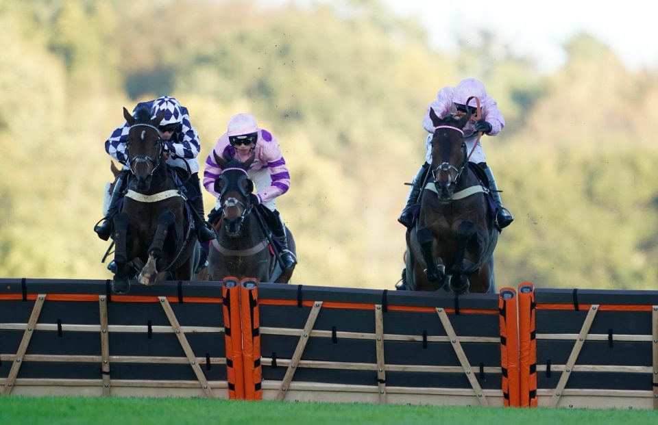  Global Citizen (right) was second at Ascot on Saturday