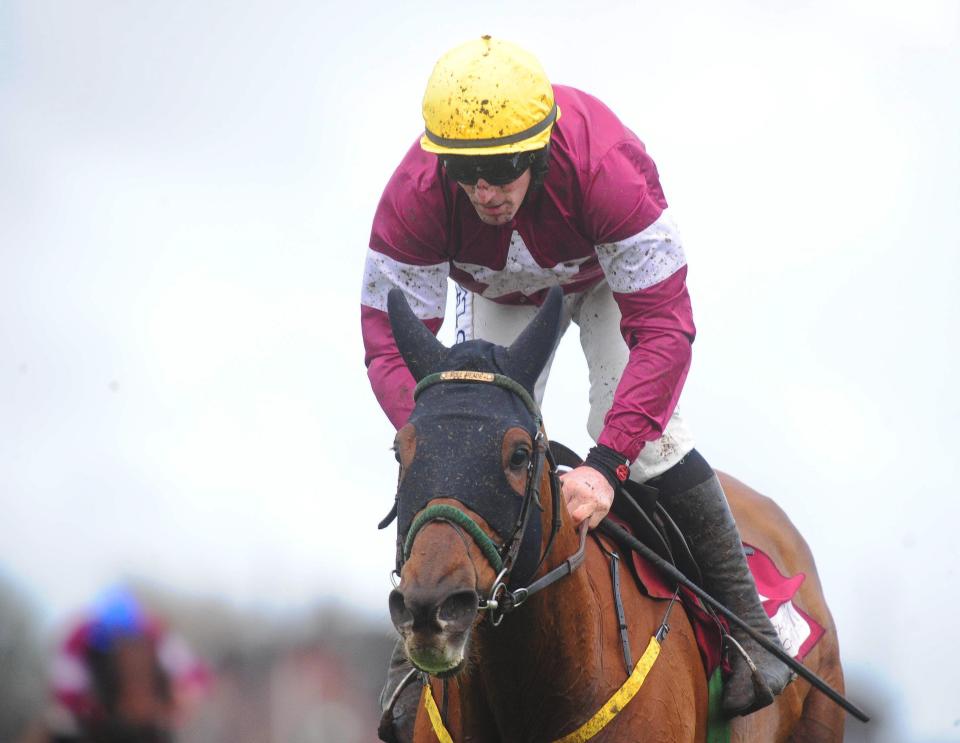  The chaser could also take in the Irish Gold Cup this year