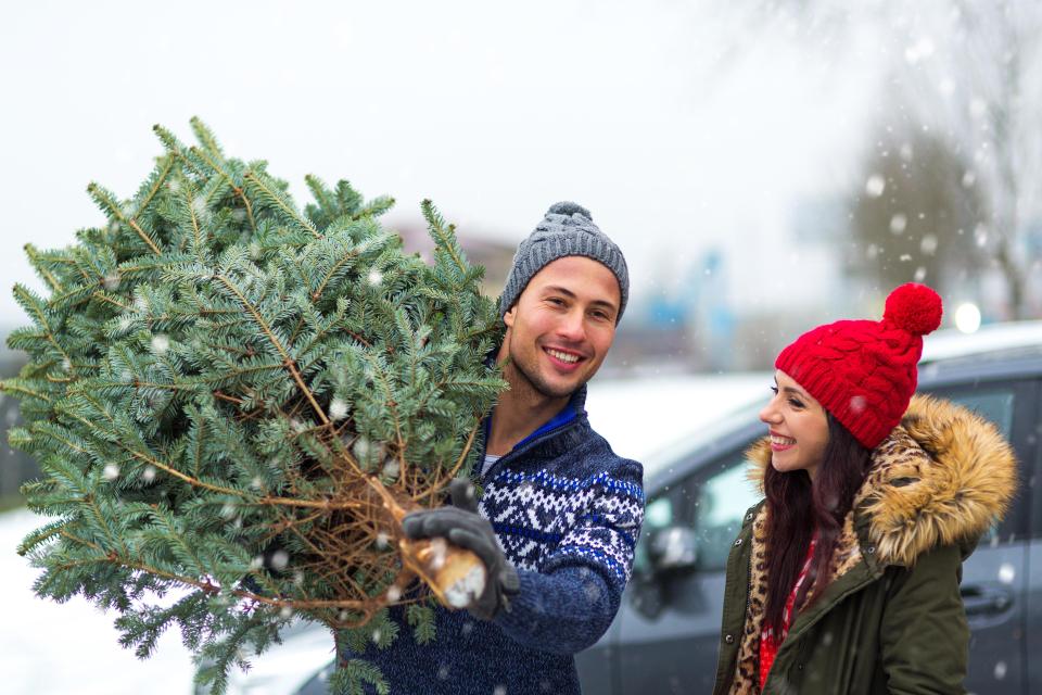  Real trees smell nice but can trigger allergies