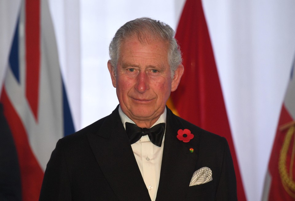 Prince Charles said the amount of plastic entering the ocean is enormous and increases every year