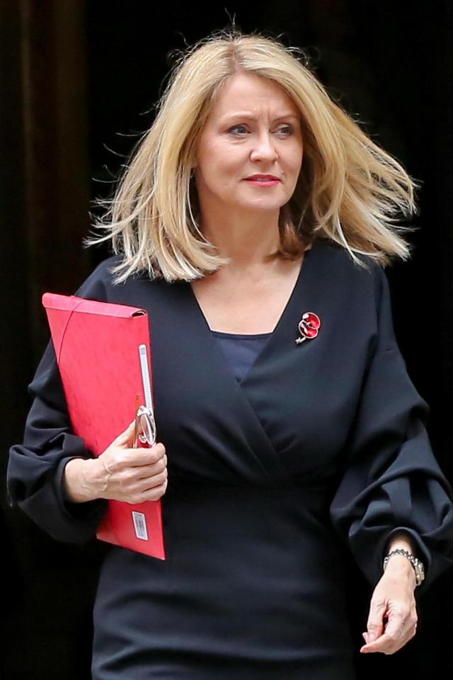  Pensions Secretary Esther McVey is also said to be unhappy