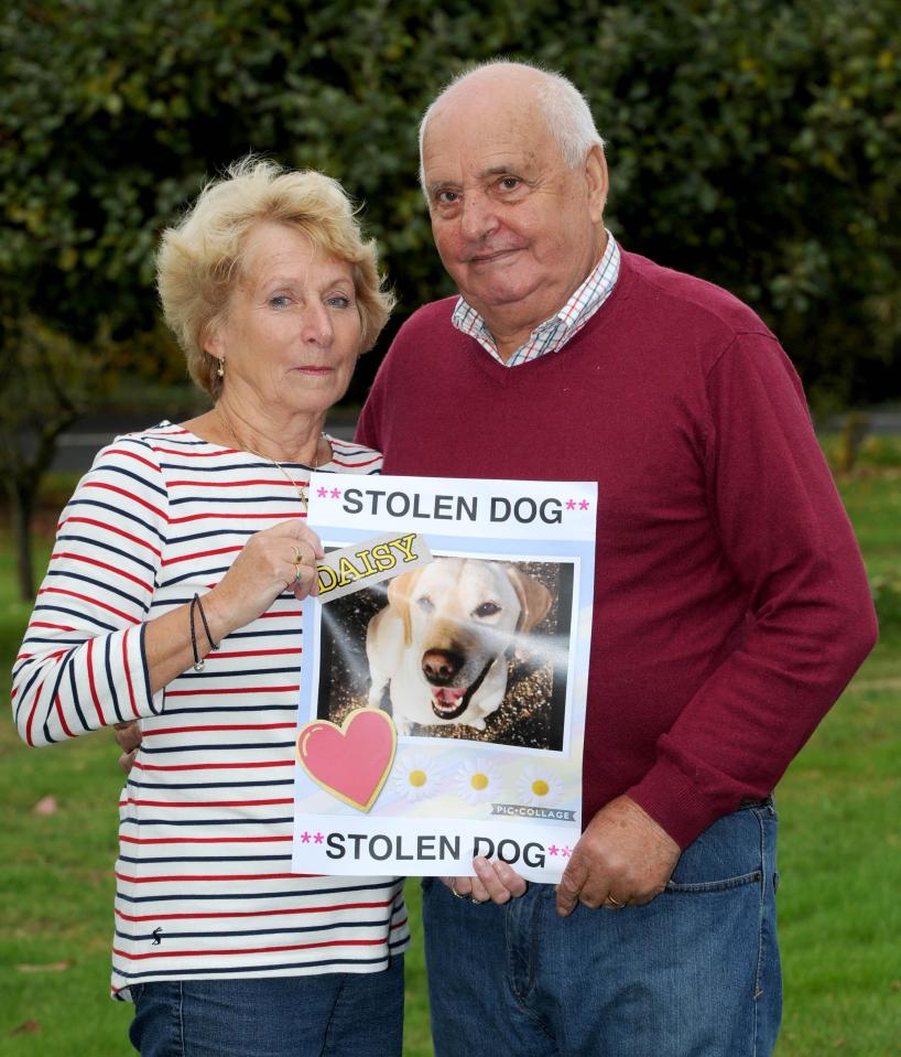  Rita and Philip Potters' petition, calling for police to receive more training in animal theft, received more than 100,000 signatures