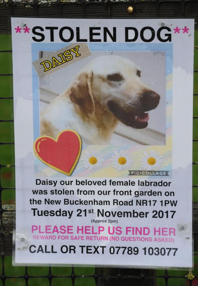  Retired hairdresser Rita Potter, 73, helped to set up the Stolen And Missing Pet Alliance, after her beloved Labrador Daisy, five, was taken last November