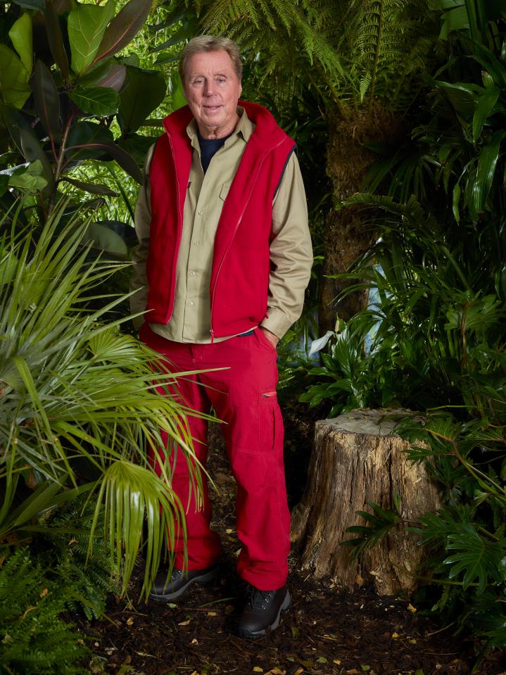  Harry Redknapp is favourite to be the first star to face the dreaded Bushtucker Trial