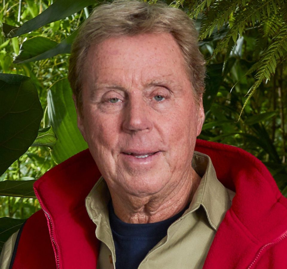  Harry Redknapp is one of the biggest signings on this year's I'm A Celeb