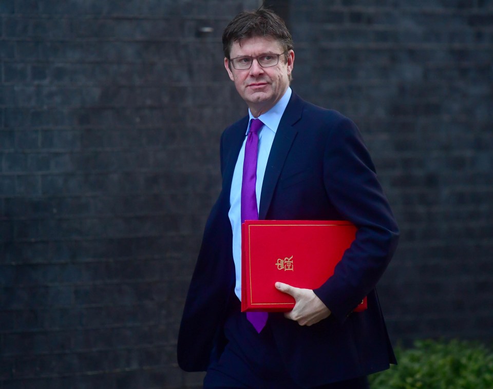 Business Secretary Greg Clark told the call they should focus on convincing members of the House Commons who want to reject May’s controversial deal