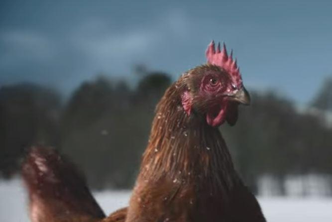  KFC's Christmas advert is about a standoff between a chicken and a turkey