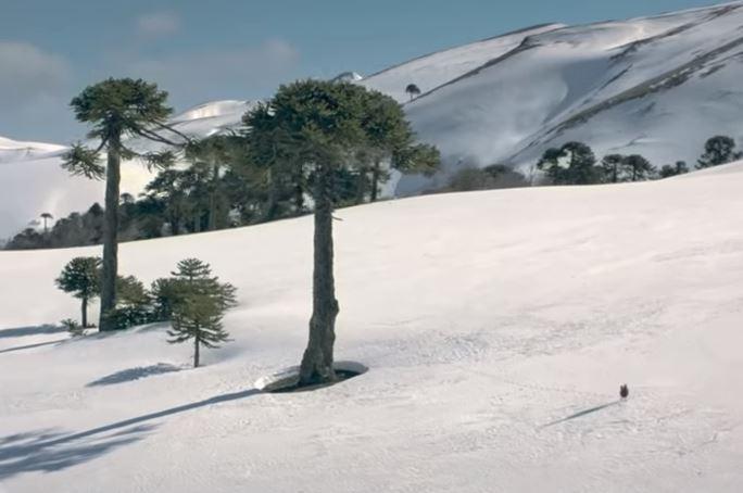  The advert starts with a chicken journeying across snowy mountains alone