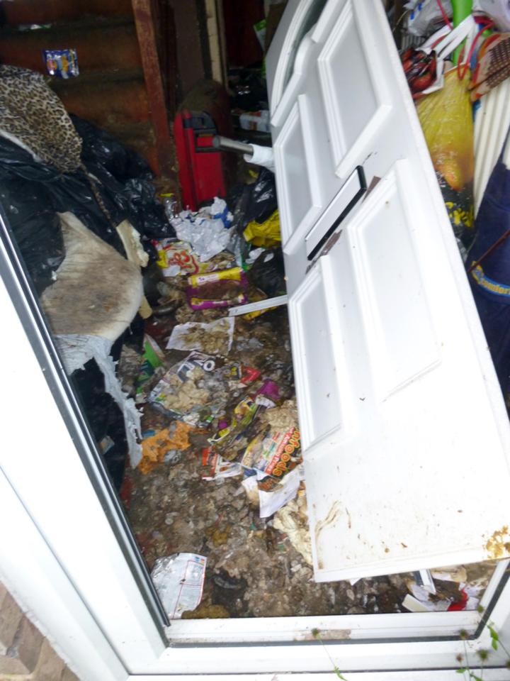  A woman living in squalor has been banned from keeping animals for life after four cats were found dead in her house