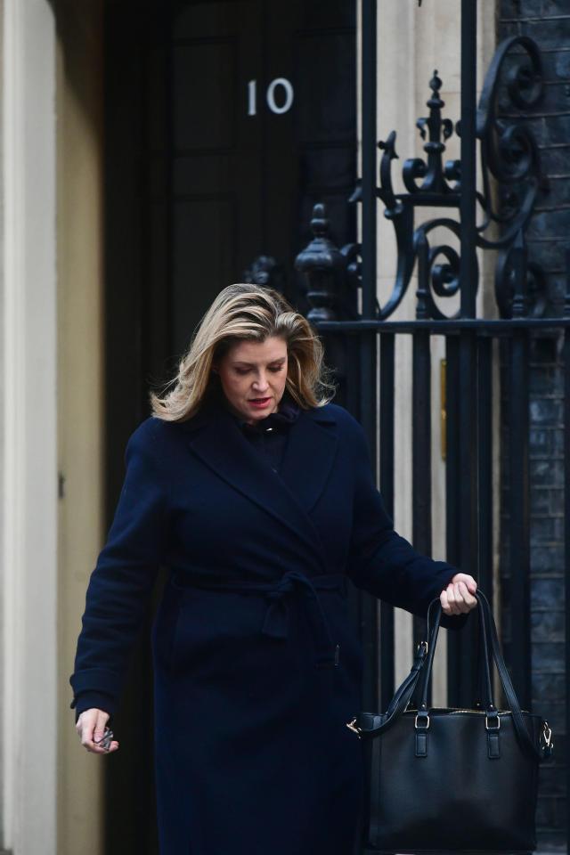  Aid Secretary Penny Mordaunt pictured at No10 this morning