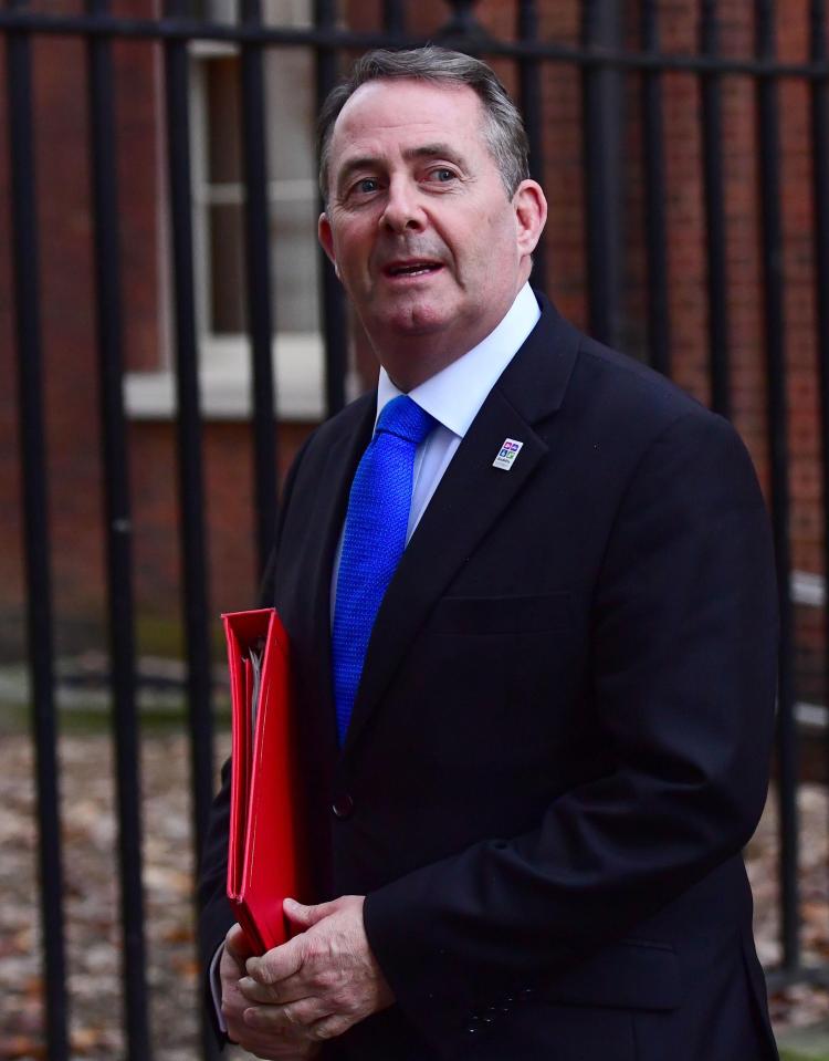  Liam Fox has also backed the PM after 36 hours of silence, saying: 'What we need now is stability'