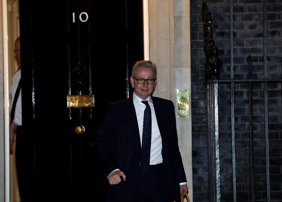  Michael Gove was the only Brexiteer to speak in favour