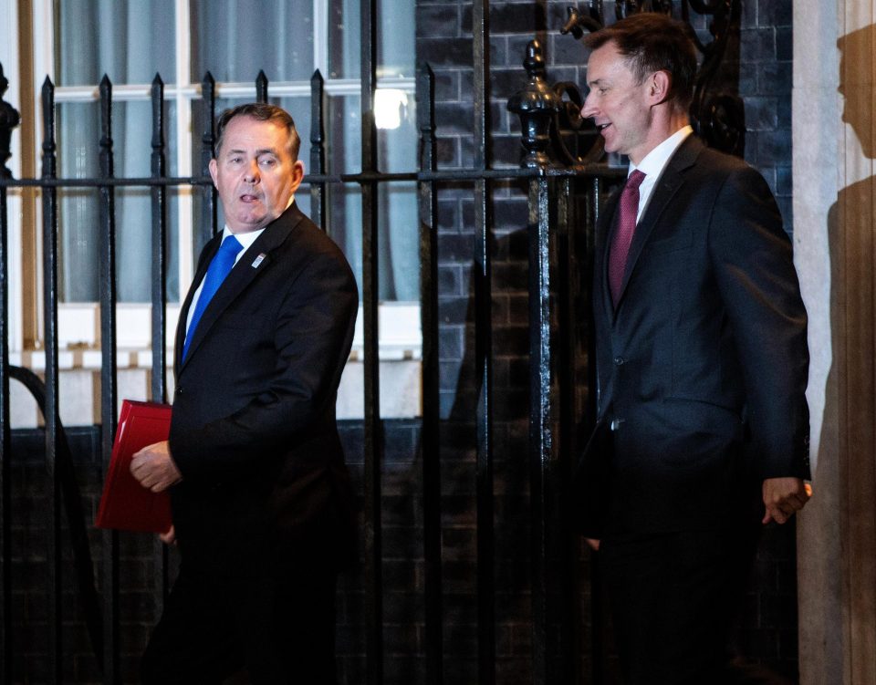  Ministers Liam Fox and Jeremy Hunt outside No10